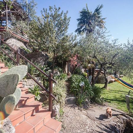 La Fattoria Di Nonna Eugenia Bed and Breakfast Lerici Eksteriør billede