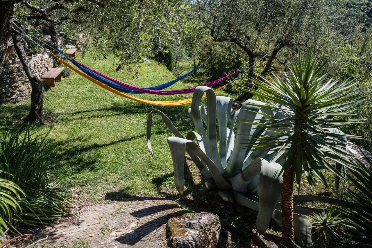 La Fattoria Di Nonna Eugenia Bed and Breakfast Lerici Eksteriør billede