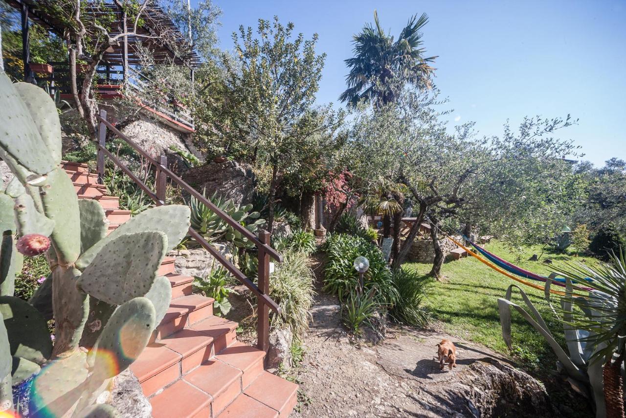 La Fattoria Di Nonna Eugenia Bed and Breakfast Lerici Eksteriør billede